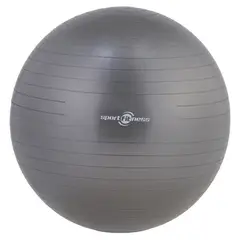 SPORT FITNESS - Bola Gimnasia 65cm Gris