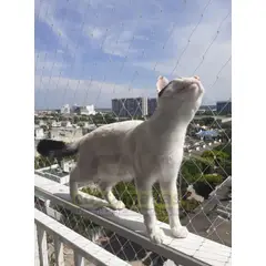 GENERICO - Malla para Gatos Kit - Protección balcon estandar 4 x 2.50 m
