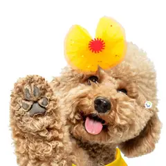 COMPRALOENCASA COM - Disfraz Princesa Para Perro Gato Mascotas Halloween GD01BELL