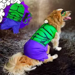 COMPRALOENCASA COM - Disfraz Superhéroe Mutante Mascotas GD01HULK