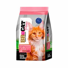 BR - ALIMENTO FOR CAT ADULTO SALMON 1 KG