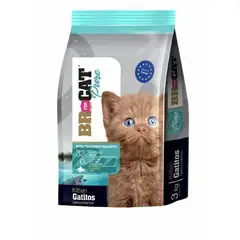 BR - ALIMENTO FOR CAT GATITOS SALMON 1 KG