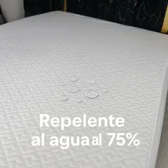 GENERICO - Protector Repelente al agua 160 + Fundas Harmony Home