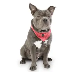 TOTTO - Pañuelo Menta Doble Faz