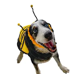 AMERICO SHOP - Disfraz de Mascota para Perro Grande Abeja Talla 5XL