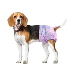 HALLY PET - Pañal hembra Talla XL por 10 Unidades