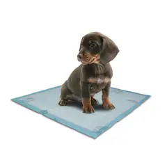 HALLY PET - Tapete entrenador Talla L 30 und para perros 60cm x 60cm
