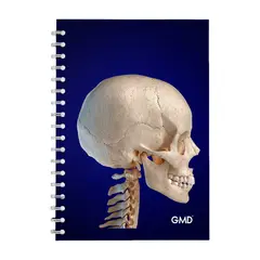 GMD - Cuaderno Agenda Para Enfermería Y Medicina 120 Hojas Craneo