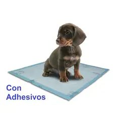 HALLY PET - Tapete entrenador 90 und con adhesivo 60x60