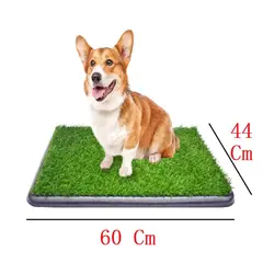 HALLY PET - Tapete entrenador mediano con grama 66cm x 44cm