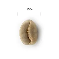 CAFE GLOMAR - Café Verde Europa +15 X 1 Kg