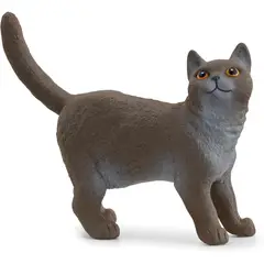 JUGANDO Y EDUCANDO - Figura Coleccionable Gato Británico Pintada A Mano Schleich