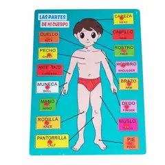 GENERICO - Juego Madera Partes Del Cuerpo En Ingles Encastre Niño