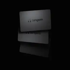 GENERICO - Tangem Wallet Set x 3 Billetera Fría Protección Avanzada