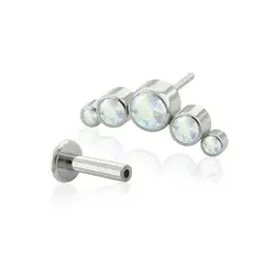 AGHA JEWELRY - Titanio Arete Piercing Pin a Presión Curvo 5 joyas Cristal Zirconia Cúbica para Lóbulo
