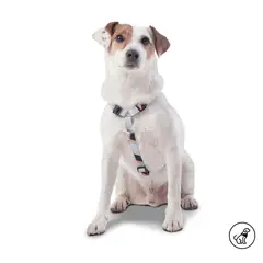 TOTTO - Arnés Figgo para mascota