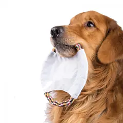GENERICO - Frisbee Juguete Limpia Dientes para Perros