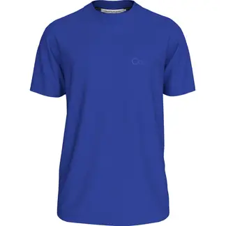 CALVIN KLEIN - Camiseta azul con logo institutional