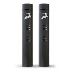ANTELOPE - Microfono Condensador Edge Note