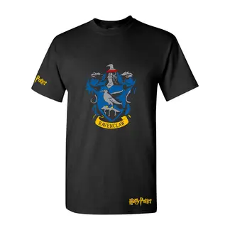 ARITEX - Camiseta Harry Potter - Ravenclaw - Película