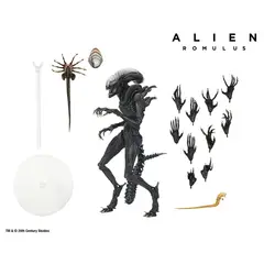 ALIEN - Romulus Scorched Xenomorph Figura Neca Special 30 Cm