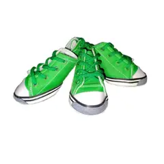 123 - Tenis para mascotas talla 5
