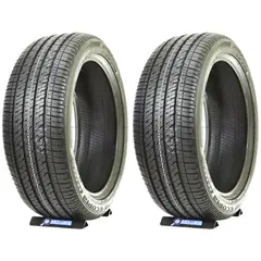 BRIDGESTONE - Set De 2 Llantas 205/55 R17 Ecopia EP422 Plus