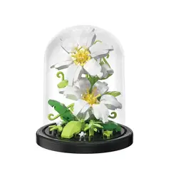 GENERICO - Urna De Construcción Ramos Suculenta En Bloques Flor Eterna