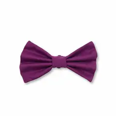 WAWAW - Corbatín para perro talla XS Berenjena