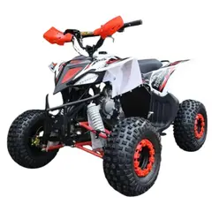 GENERICO - Cuatrimoto A Gasolina 110 CC Para Niños Montable 4 Tiempos