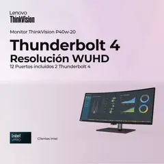 LENOVO - Monitor Thinkvision P40w-20 39,7 Negro
