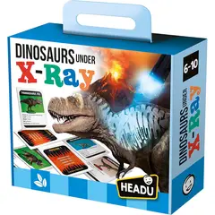 GENERICO - JUEGO EDUCATIVO PARA NIÑOS DE 6 AÑOS - DINOSAURIOS RAYOS X