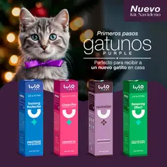 LULOPET - KIT PRIMEROS PASOS GATUNOS PURPLE