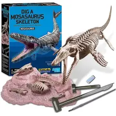 4M - ESQUELETO DE DINOSAURIOS PARA NIÑOS - KIT DE PALEONTOLOGÍA