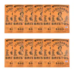 GENERICO - Set x 12 Calendario Almanaque Pintoresco Bristol 2025
