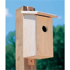DELUXE - Casa Para Pájaros En Cedro Macizo