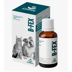 GENERICO - B-Fex Suspension Oral Fco x 60ml