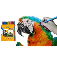 BIC - Colores X 24 +2 Lápices