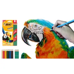 BIC - Colores X 12 +4 Lápices