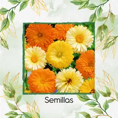GENERICO - 280 Semillas Orgánicas De Caléndula Mezcla