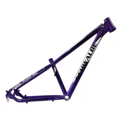 GENERICO - Marco 29 En Aluminio Schwalbe COLOR MORADO