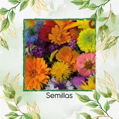 GENERICO - 400 Semillas Orgánicas De Flores Silvestres