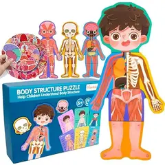 GENERICO - Rompecabezas Magnetico del Cuerpo Humano Didactico