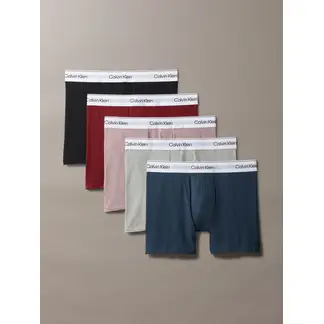 CALVIN KLEIN - Pack multicolor de 5 boxer brief - modern cotton holiday