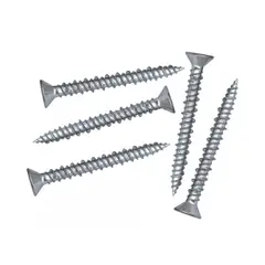 GENERICO - Tornillo Cabeza Plana 10 x 2 Und 100 Marca Cato