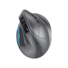 ZELOTES - Mouse Inalambrico Ergonómico F-26c Recargable