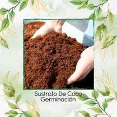 GENERICO - Sustrato De Coco Germinación X 16 Litros