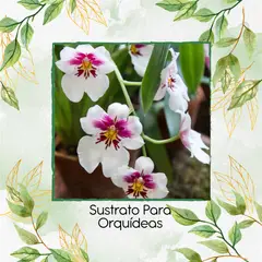 GENERICO - Sustrato Para Orquídeas X 8 Litros