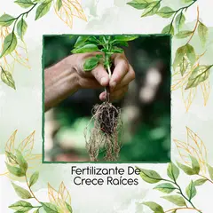 GENERICO - Fertilizante De Crece Raíces X 30 Ml