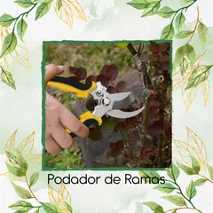 GENERICO - Podador De Ramas En Acero Inoxidable